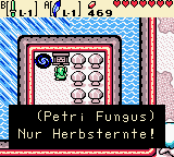 Oracle of Seasons Lsung