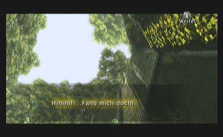 Twilight Princess Lösung