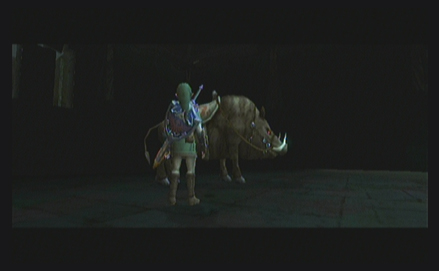 Twilight Princess Lösung
