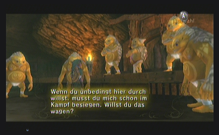 Twilight Princess L�sung