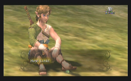 Twilight Princess L�sung