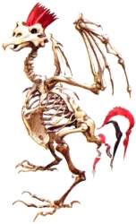 g-boney-bird.jpg