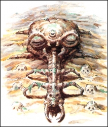 s-skull-woods.jpg