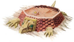 s-turtle-rock.jpg