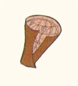 009a.jpg