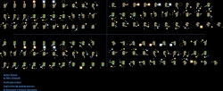 img_2170.png