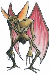 z_002.jpg