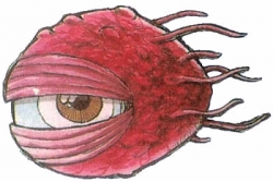 z_006.jpg