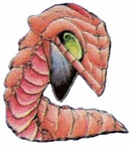 z_013.jpg
