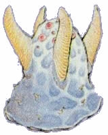 z_018.jpg