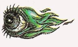 gegner_005hy.jpg
