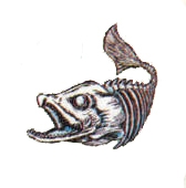 gegner_007.jpg