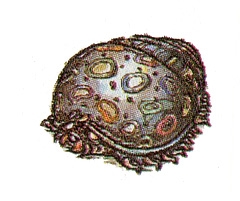 gegner_047.jpg