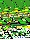 Aidman_018.gif