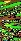 carmelo_017.gif