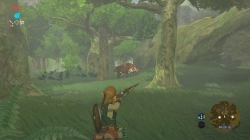 30102016_zelda-breath-wild-8.png