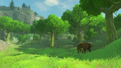 WiiU_TheLegendofZeldaBreathoftheWild_E32016_background_12.jpg