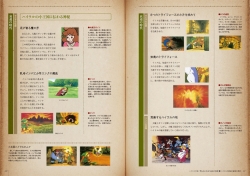 hyrule_historia-4.jpg