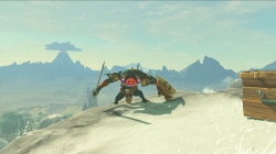 zelda-bokoblins-3.jpg