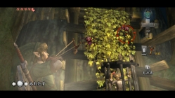 zelda01tpscreen.jpg