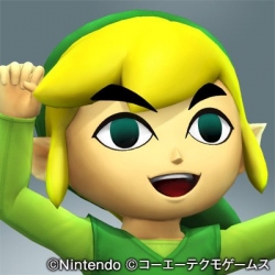 hw_artwork_char_toonlink_portrait2.jpg