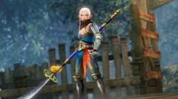 hw_screen_impa_halberd06.jpg