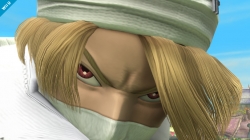 shiek06.jpg