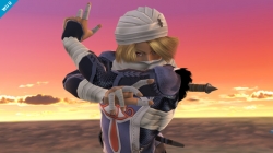 shiek08.jpg