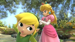 toonlink_fb04.jpg