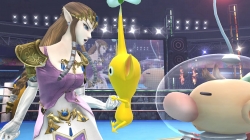 zelda_fb14.jpg