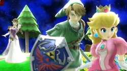 zelda_fb29.jpg
