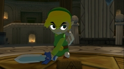 zelda_ww-8.jpg