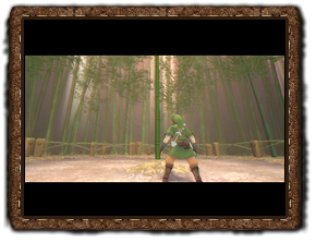 Skyward Sword Minispiel