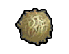 Wstengras