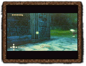 Twilight Princess Goldinsekt