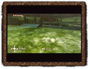Twilight Princess Goldinsekt