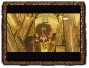 Twilight Princess Herzteile