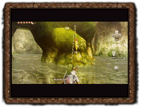 Twilight Princess Herzteile