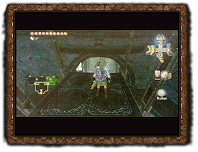 Twilight Princess Herzteile