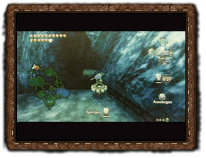 Twilight Princess Herzteile