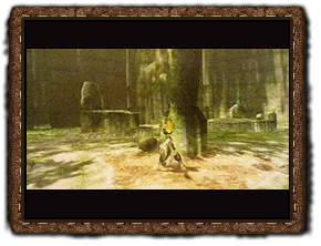 Twilight Princess Herzteile